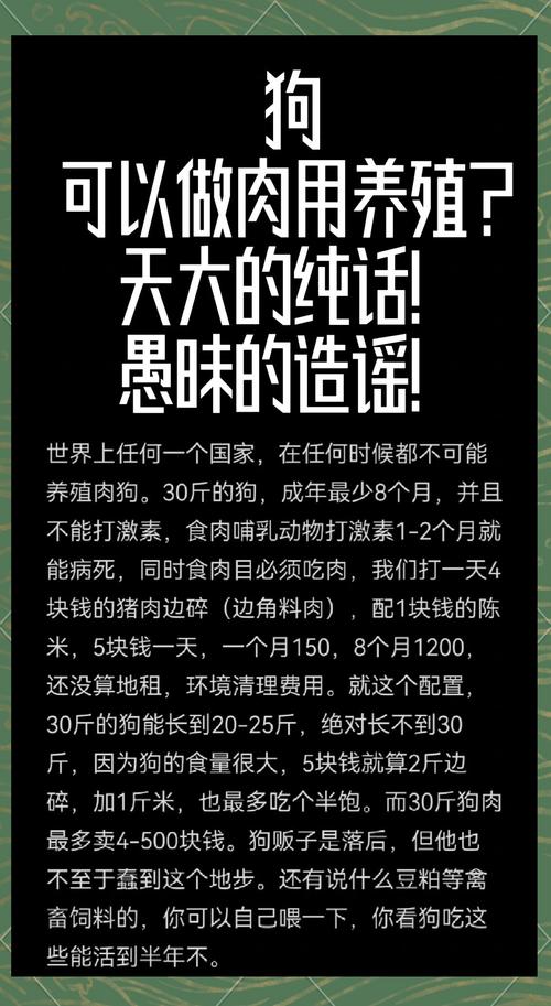 狗狗不能吃猪肉吗_狗狗不可以吃猪肉吗-第2张图片-后鲨宠物