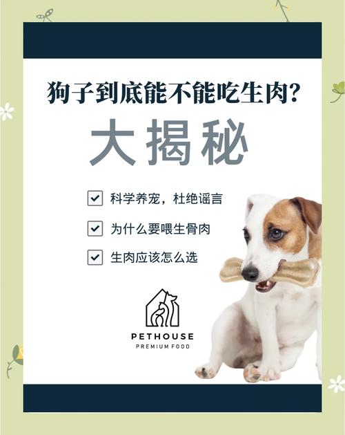 狗狗不能吃猪肉吗_狗狗不可以吃猪肉吗-第4张图片-后鲨宠物