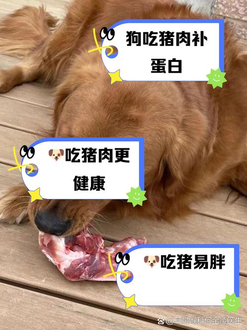 狗狗不能吃猪肉吗_狗狗不可以吃猪肉吗-第5张图片-后鲨宠物