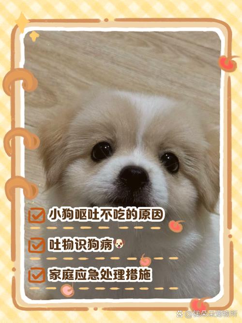 狗狗吃了骨头怎么办,狗狗吃了骨头怎么办,用什么药-第5张图片-后鲨宠物 狗狗吃了骨头怎么办,狗狗吃了骨头怎么办,用什么药-第5张图片-后鲨宠物