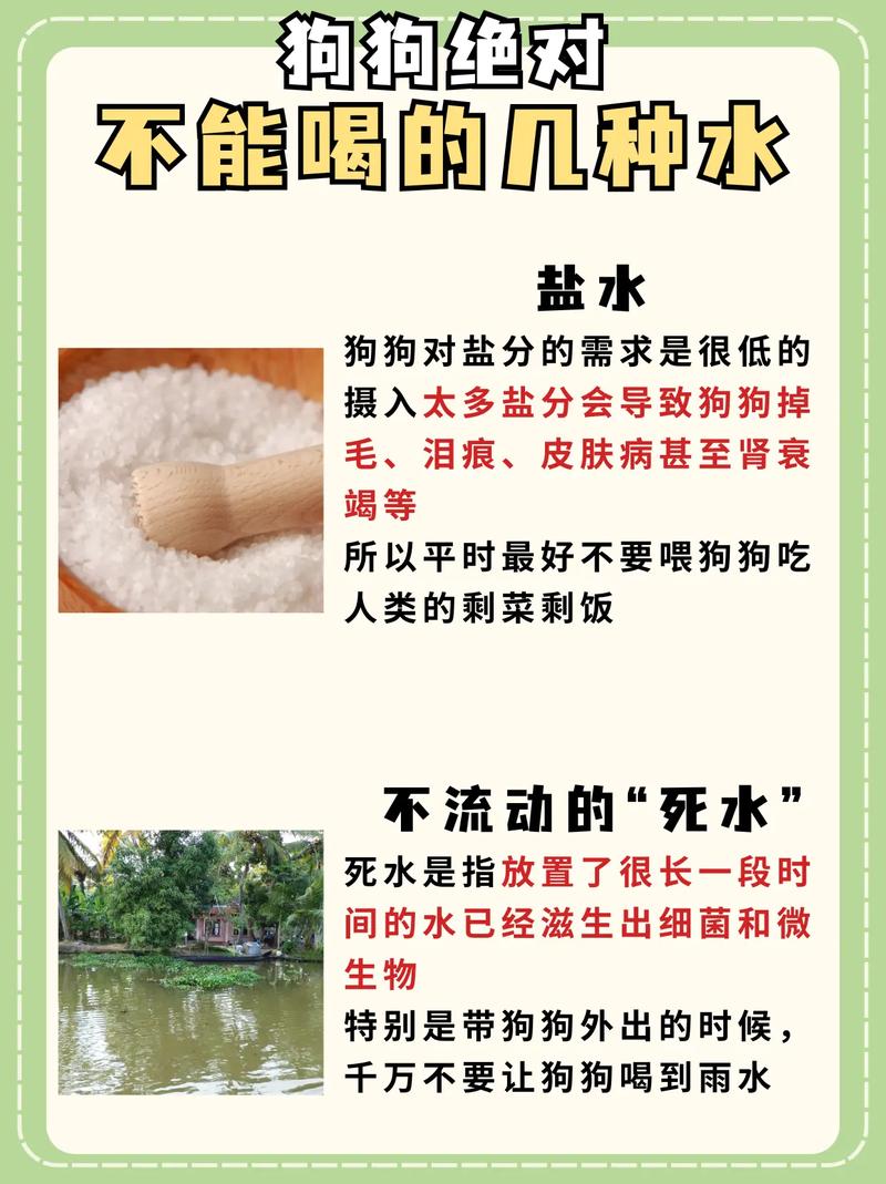 狗狗能喝碳酸饮料吗,小狗喝碳酸饮料-第5张图片-后鲨宠物 狗狗能喝碳酸饮料吗,小狗喝碳酸饮料-第5张图片-后鲨宠物