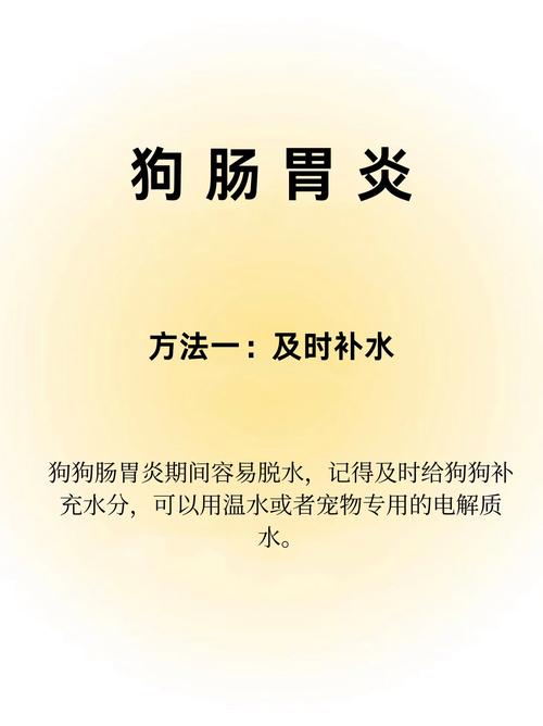 狗狗得了肠炎怎么办_狗狗得了肠炎怎么办吃什么药-第4张图片-后鲨宠物 狗狗得了肠炎怎么办_狗狗得了肠炎怎么办吃什么药-第4张图片-后鲨宠物