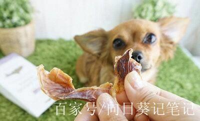 狗狗吃鱿鱼的危害_狗吃鱿鱼干没事吧-第3张图片-后鲨宠物 狗狗吃鱿鱼的危害_狗吃鱿鱼干没事吧-第3张图片-后鲨宠物