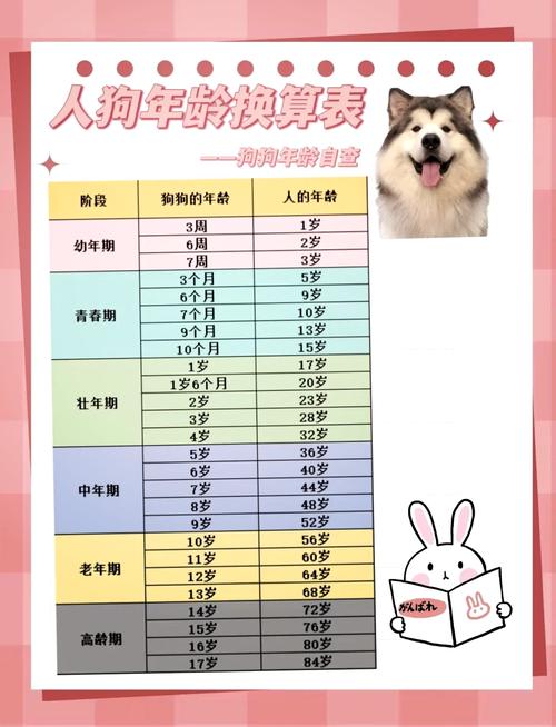 怎样判断狗狗年龄,这样判断狗狗的年龄?-第5张图片-后鲨宠物 怎样判断狗狗年龄,这样判断狗狗的年龄?-第5张图片-后鲨宠物