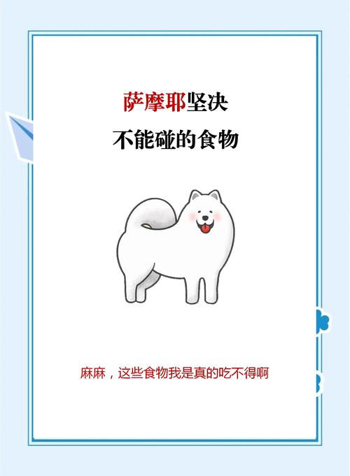 狗狗能吃蛋炒饭吗_小狗可不可以吃蛋炒饭-第5张图片-后鲨宠物 狗狗能吃蛋炒饭吗_小狗可不可以吃蛋炒饭-第5张图片-后鲨宠物