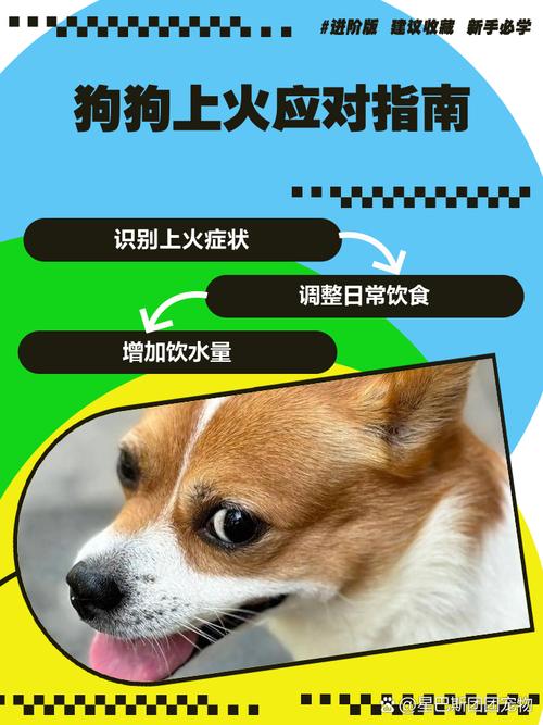 可以带狗狗上火车吗_能带狗狗坐火车回家吗-第5张图片-后鲨宠物 可以带狗狗上火车吗_能带狗狗坐火车回家吗-第5张图片-后鲨宠物