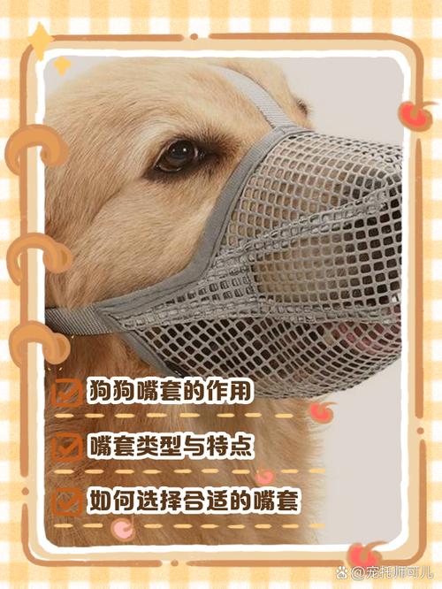 给狗狗带嘴套好吗,给狗带的嘴套?-第5张图片-后鲨宠物 给狗狗带嘴套好吗,给狗带的嘴套?-第5张图片-后鲨宠物