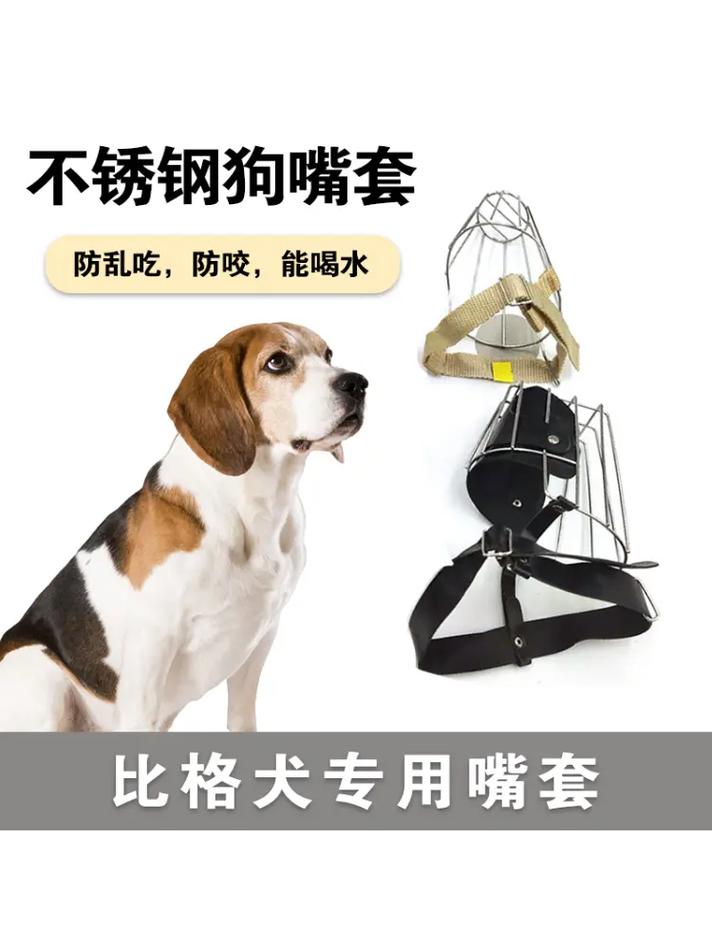 给狗狗带嘴套好吗,给狗带的嘴套?-第6张图片-后鲨宠物 给狗狗带嘴套好吗,给狗带的嘴套?-第6张图片-后鲨宠物