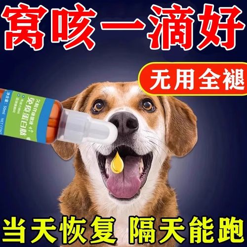  狗狗咳嗽有痰吃什么药，狗咳嗽有痰了是否要好了-第3张图片-后鲨宠物