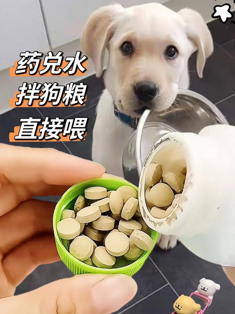  狗狗咳嗽有痰吃什么药，狗咳嗽有痰了是否要好了-第5张图片-后鲨宠物