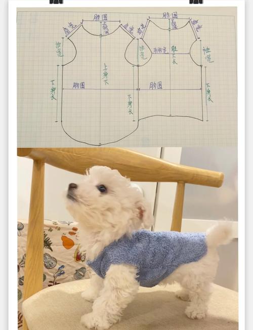 怎么做狗狗衣服,制作狗狗衣服视频教程?-第4张图片-后鲨宠物 怎么做狗狗衣服,制作狗狗衣服视频教程?-第4张图片-后鲨宠物