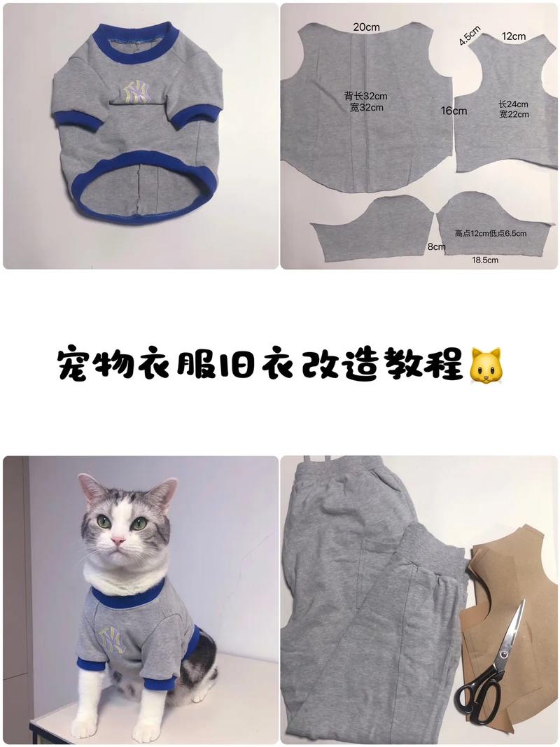 怎么做狗狗衣服,制作狗狗衣服视频教程?-第5张图片-后鲨宠物 怎么做狗狗衣服,制作狗狗衣服视频教程?-第5张图片-后鲨宠物