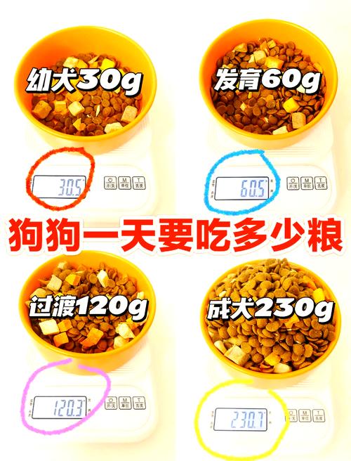 狗狗多久可以吃干狗粮_狗狗多久可以吃干狗粮小狗狗-第1张图片-后鲨宠物 狗狗多久可以吃干狗粮_狗狗多久可以吃干狗粮小狗狗-第1张图片-后鲨宠物