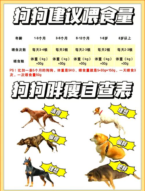 狗狗多久可以吃干狗粮_狗狗多久可以吃干狗粮小狗狗-第2张图片-后鲨宠物 狗狗多久可以吃干狗粮_狗狗多久可以吃干狗粮小狗狗-第2张图片-后鲨宠物