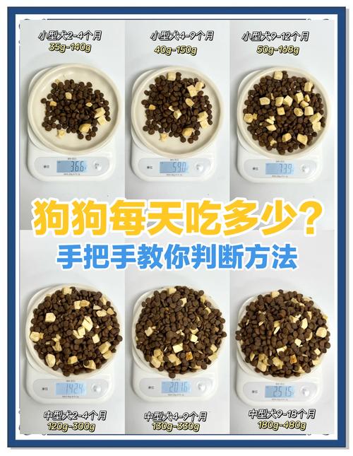 狗狗多久可以吃干狗粮_狗狗多久可以吃干狗粮小狗狗-第4张图片-后鲨宠物 狗狗多久可以吃干狗粮_狗狗多久可以吃干狗粮小狗狗-第4张图片-后鲨宠物