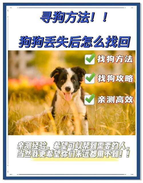狗狗掉了怎么找回来,找狗最灵三个咒?-第2张图片-后鲨宠物 狗狗掉了怎么找回来,找狗最灵三个咒?-第2张图片-后鲨宠物