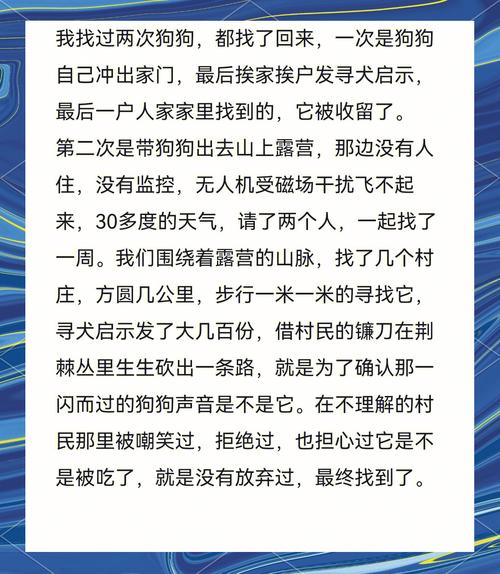 狗狗掉了怎么找回来,找狗最灵三个咒?-第6张图片-后鲨宠物 狗狗掉了怎么找回来,找狗最灵三个咒?-第6张图片-后鲨宠物