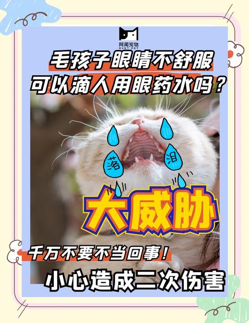 狗狗不让滴眼药水怎么办_狗子不让滴眼药水-第1张图片-后鲨宠物 狗狗不让滴眼药水怎么办_狗子不让滴眼药水-第1张图片-后鲨宠物