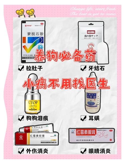 博美狗狗咳嗽怎么办,博美狗一直咳嗽怎么办?-第1张图片-后鲨宠物 博美狗狗咳嗽怎么办,博美狗一直咳嗽怎么办?-第1张图片-后鲨宠物