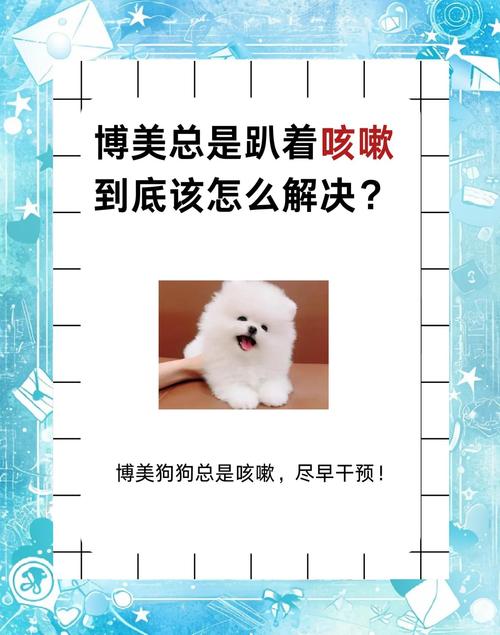 博美狗狗咳嗽怎么办,博美狗一直咳嗽怎么办?-第3张图片-后鲨宠物 博美狗狗咳嗽怎么办,博美狗一直咳嗽怎么办?-第3张图片-后鲨宠物