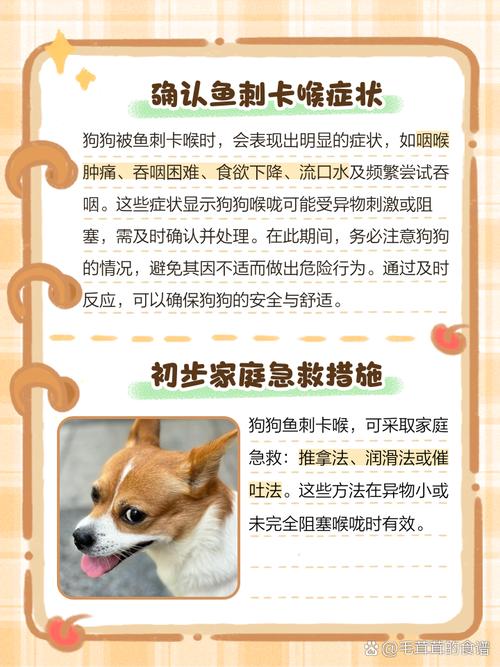 狗狗被鱼刺卡住了怎么办,狗狗如果被鱼刺卡住是什么现像?-第4张图片-后鲨宠物 狗狗被鱼刺卡住了怎么办,狗狗如果被鱼刺卡住是什么现像?-第4张图片-后鲨宠物