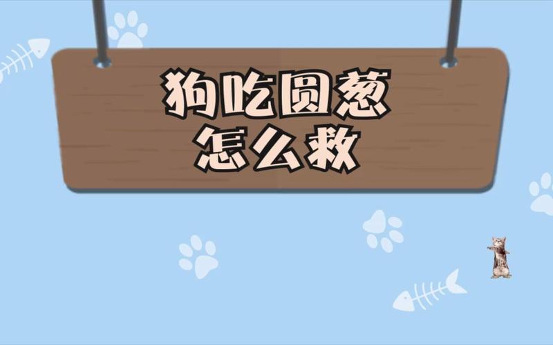 狗狗能吃圆葱吗,狗狗能吃圆葱吗有毒吗-第1张图片-后鲨宠物 狗狗能吃圆葱吗,狗狗能吃圆葱吗有毒吗-第1张图片-后鲨宠物