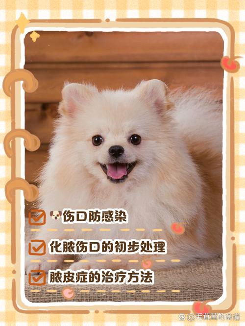 狗狗伤口化脓怎么办_狗狗伤口化脓用什么药好得快-第3张图片-后鲨宠物 狗狗伤口化脓怎么办_狗狗伤口化脓用什么药好得快-第3张图片-后鲨宠物