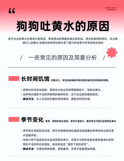 小狗狗吐黄水怎么回事_小狗吐黄黄的水是什么意思-第2张图片-后鲨宠物 小狗狗吐黄水怎么回事_小狗吐黄黄的水是什么意思-第2张图片-后鲨宠物