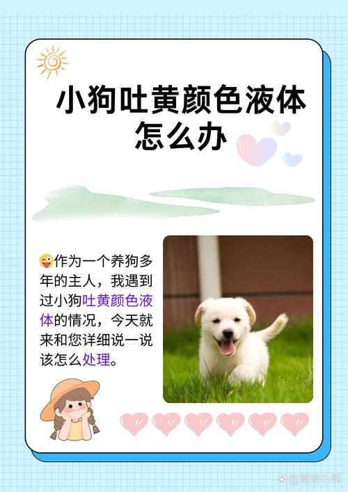 小狗狗吐黄水怎么回事_小狗吐黄黄的水是什么意思-第4张图片-后鲨宠物 小狗狗吐黄水怎么回事_小狗吐黄黄的水是什么意思-第4张图片-后鲨宠物