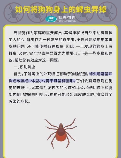 狗狗身上长虫子怎么办,狗狗身上长满了虫子,期待好心人的救助-第6张图片-后鲨宠物 狗狗身上长虫子怎么办,狗狗身上长满了虫子,期待好心人的救助-第6张图片-后鲨宠物