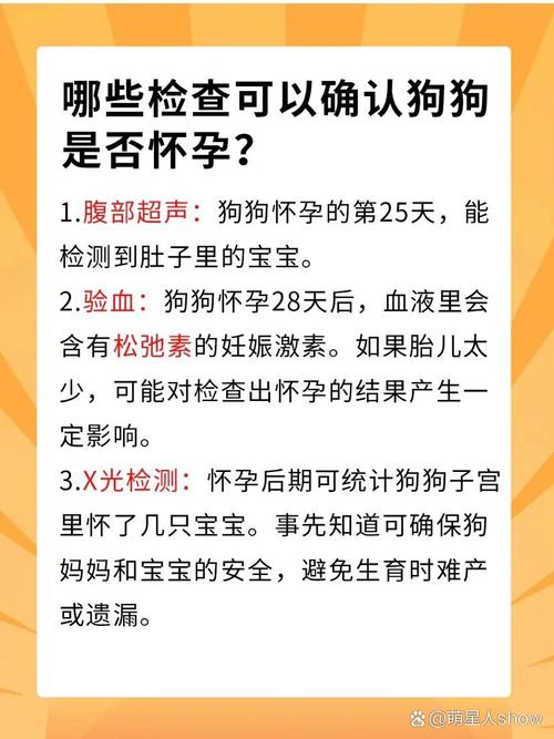 怎么看出狗狗有没有怀孕_怎么才能看出狗狗有没有怀孕-第1张图片-后鲨宠物 怎么看出狗狗有没有怀孕_怎么才能看出狗狗有没有怀孕-第1张图片-后鲨宠物