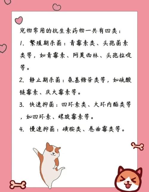 狗狗能吃头孢消炎吗，狗狗吃头孢可以消炎吗？-第4张图片-后鲨宠物