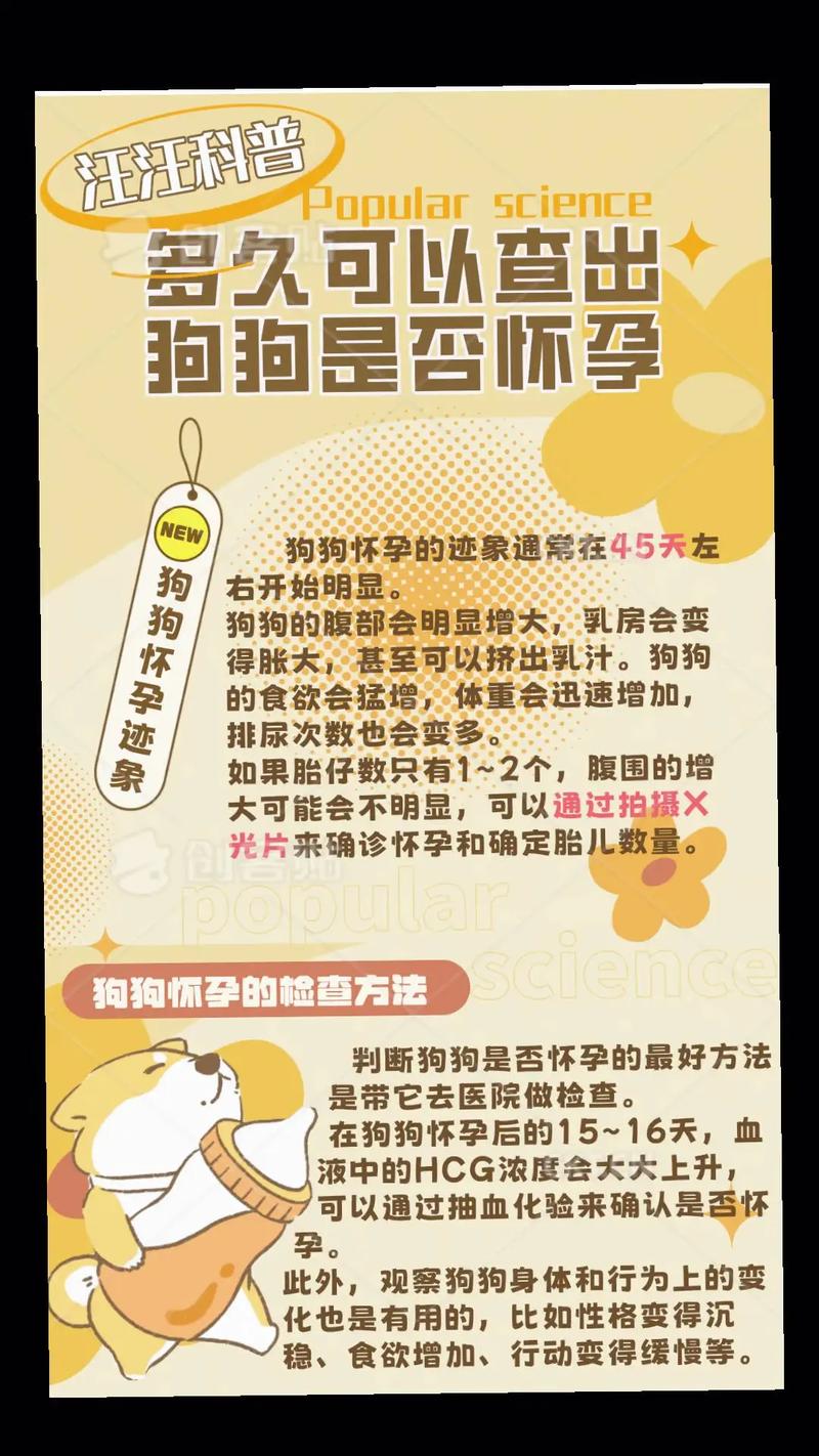 狗狗能知道主人怀孕吗_狗狗可以察觉到主人怀孕吗