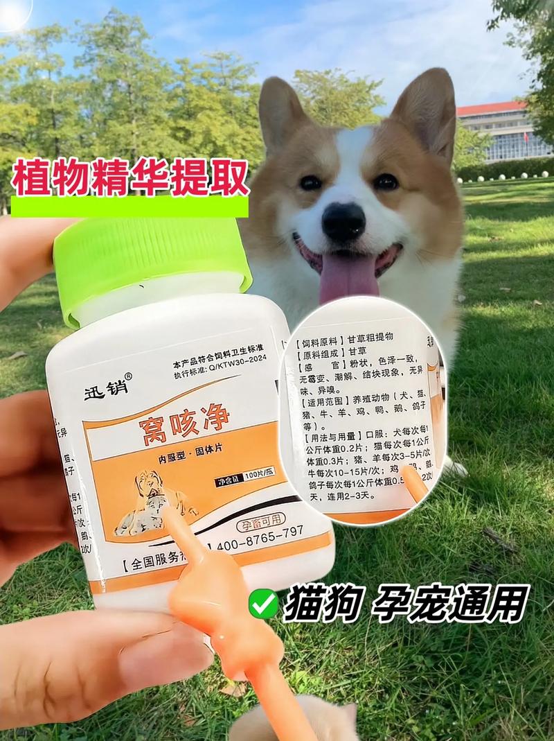 狗狗干呕怎么办_狗狗干呕怎么办啊-第3张图片-后鲨宠物 狗狗干呕怎么办_狗狗干呕怎么办啊-第3张图片-后鲨宠物