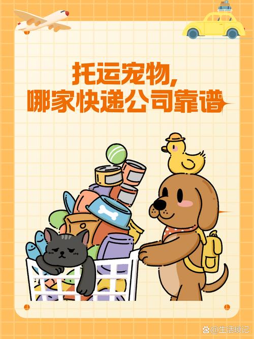 狗狗可以发快递吗,狗狗能发快递或者物流吗?-第2张图片-后鲨宠物 狗狗可以发快递吗,狗狗能发快递或者物流吗?-第2张图片-后鲨宠物