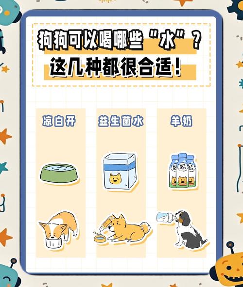 狗狗喝什么水好_狗狗建议喝什么水-第1张图片-后鲨宠物 狗狗喝什么水好_狗狗建议喝什么水-第1张图片-后鲨宠物