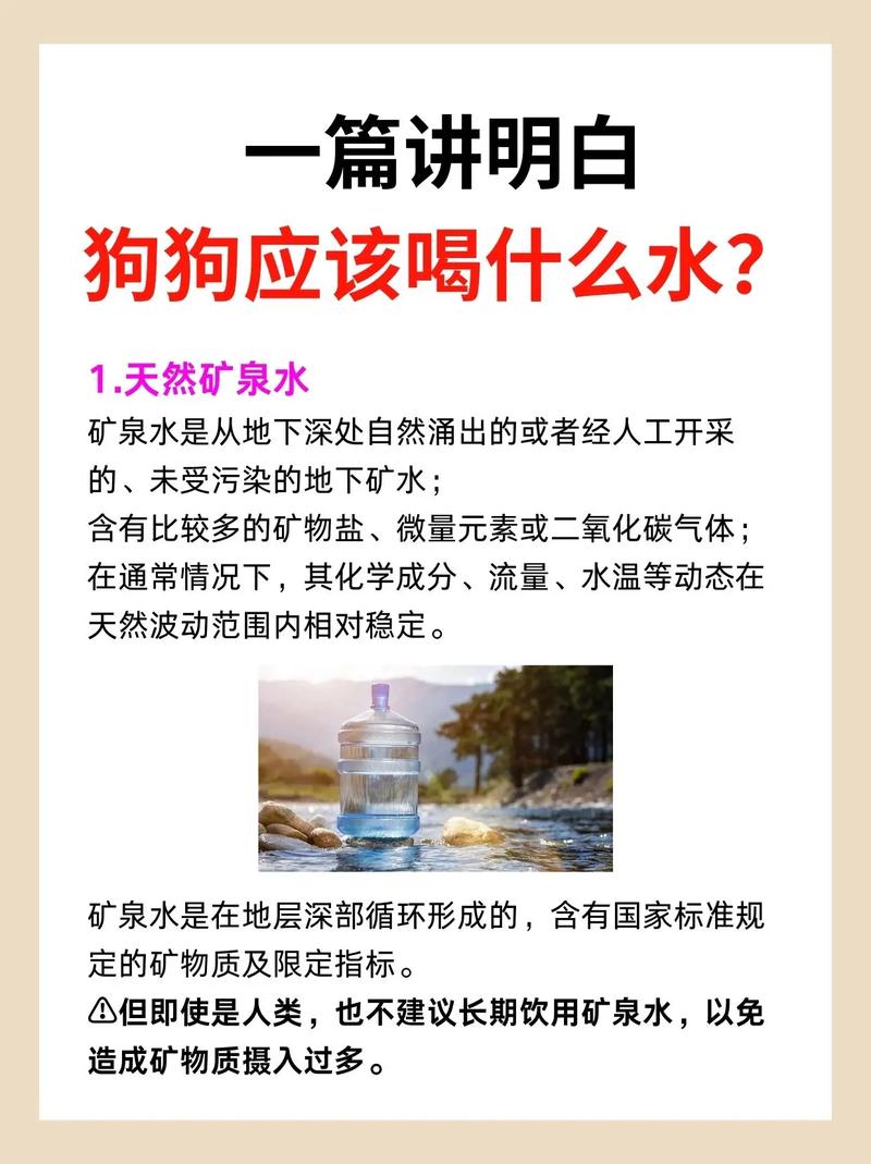 狗狗喝什么水好_狗狗建议喝什么水-第3张图片-后鲨宠物 狗狗喝什么水好_狗狗建议喝什么水-第3张图片-后鲨宠物