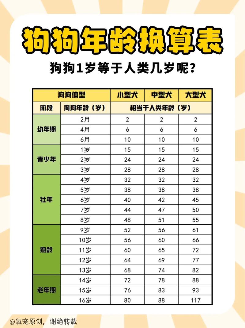 狗狗年龄怎么算,狗狗年龄怎么算数字?-第1张图片-后鲨宠物 狗狗年龄怎么算,狗狗年龄怎么算数字?-第1张图片-后鲨宠物