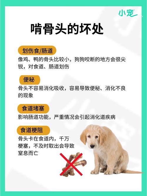 狗狗吃了鸡骨头怎么办_狗偷吃了鸡骨头必死无疑嘛-第3张图片-后鲨宠物 狗狗吃了鸡骨头怎么办_狗偷吃了鸡骨头必死无疑嘛-第3张图片-后鲨宠物