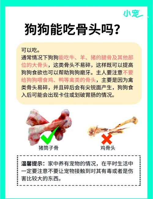 狗狗吃了鸡骨头怎么办_狗偷吃了鸡骨头必死无疑嘛-第4张图片-后鲨宠物 狗狗吃了鸡骨头怎么办_狗偷吃了鸡骨头必死无疑嘛-第4张图片-后鲨宠物