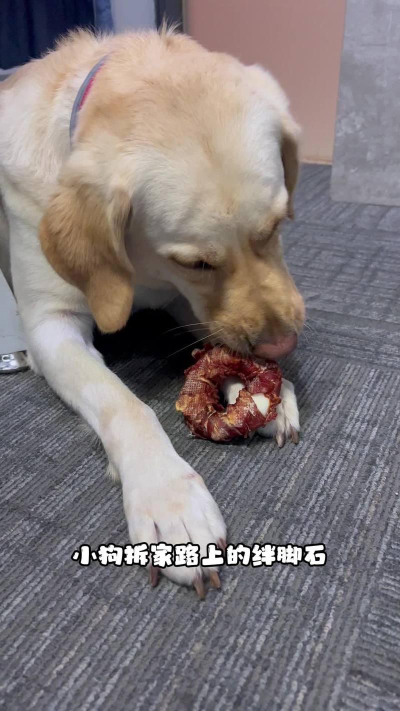 狗狗磨牙棒能吃吗,狗狗磨牙棒能吃么-第3张图片-后鲨宠物 狗狗磨牙棒能吃吗,狗狗磨牙棒能吃么-第3张图片-后鲨宠物