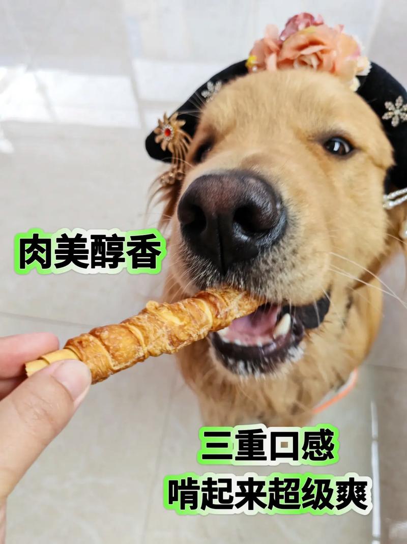 狗狗磨牙棒能吃吗,狗狗磨牙棒能吃么-第4张图片-后鲨宠物 狗狗磨牙棒能吃吗,狗狗磨牙棒能吃么-第4张图片-后鲨宠物
