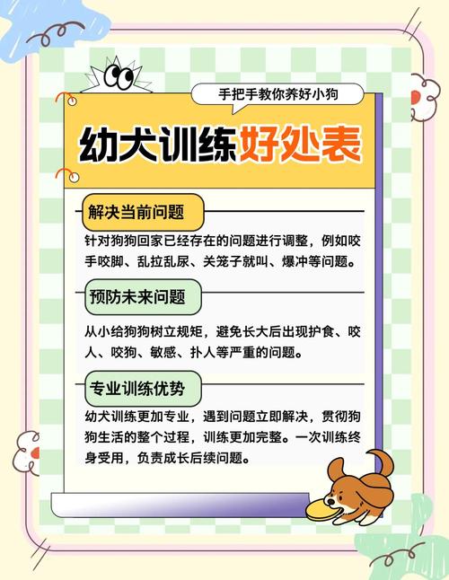 送狗狗去训练要多少钱，送狗狗去训练大概多少钱？-第1张图片-后鲨宠物