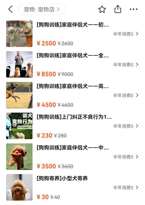 送狗狗去训练要多少钱，送狗狗去训练大概多少钱？-第3张图片-后鲨宠物