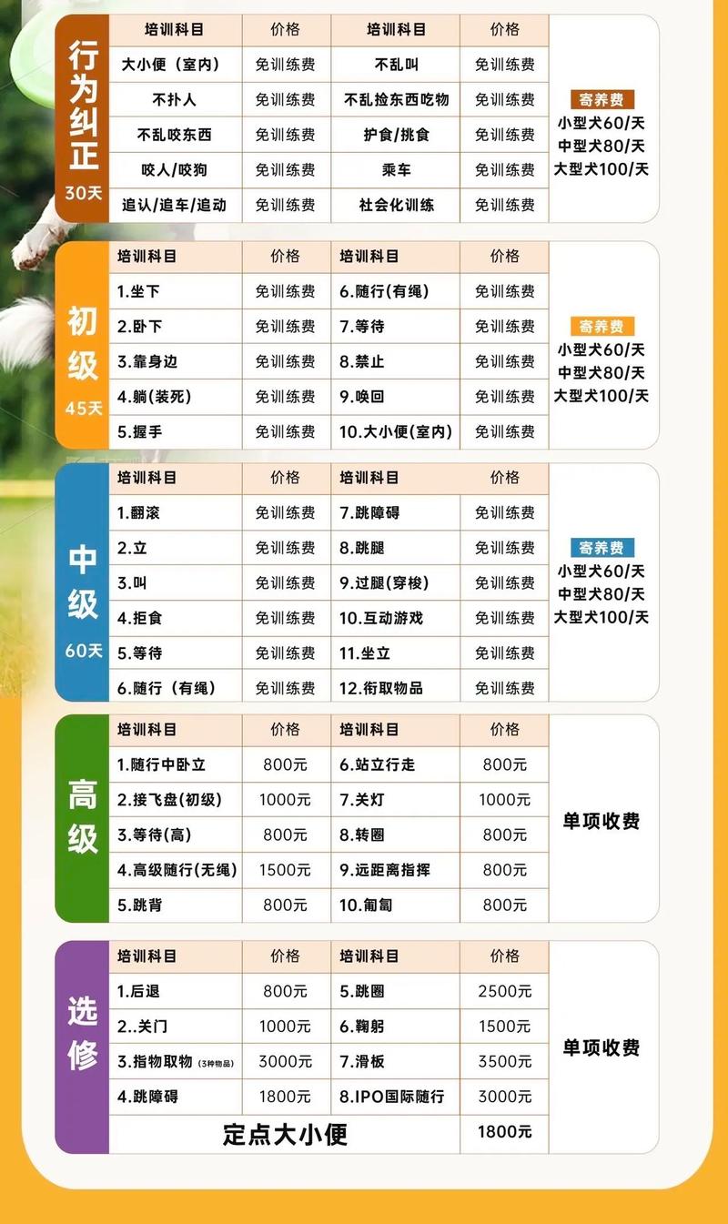送狗狗去训练要多少钱，送狗狗去训练大概多少钱？-第5张图片-后鲨宠物