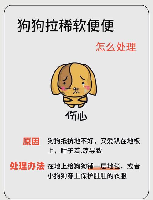 狗狗拉稀怎么回事，狗狗拉稀怎么回事和解决方法？-第2张图片-后鲨宠物