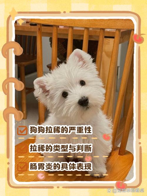 狗狗拉稀怎么回事，狗狗拉稀怎么回事和解决方法？-第3张图片-后鲨宠物