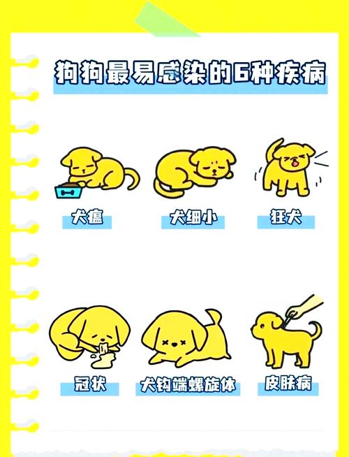 狗狗传染病有哪些,狗狗的传染病会不会传染给人?-第1张图片-后鲨宠物 狗狗传染病有哪些,狗狗的传染病会不会传染给人?-第1张图片-后鲨宠物