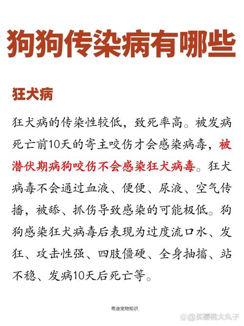 狗狗传染病有哪些,狗狗的传染病会不会传染给人?-第3张图片-后鲨宠物 狗狗传染病有哪些,狗狗的传染病会不会传染给人?-第3张图片-后鲨宠物