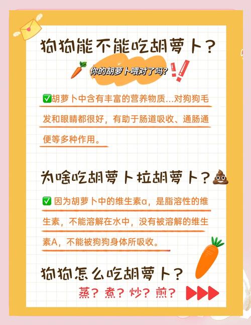 狗狗吃胡萝卜要煮熟吗,狗狗吃胡萝卜要炒吗?-第1张图片-后鲨宠物 狗狗吃胡萝卜要煮熟吗,狗狗吃胡萝卜要炒吗?-第1张图片-后鲨宠物